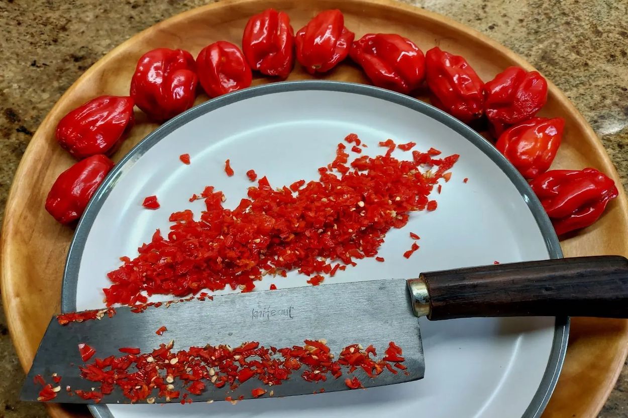 The Allrounder Rustic Carbon Steel Knife